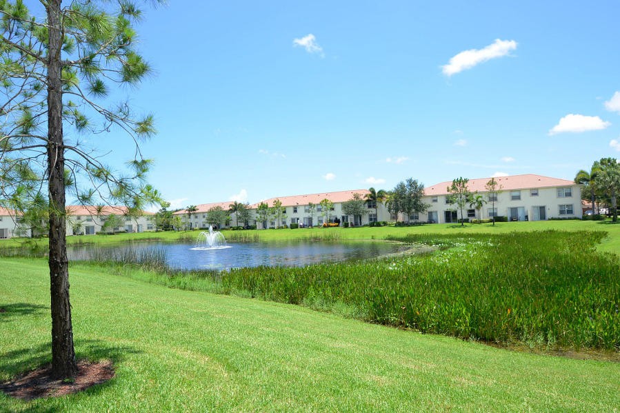 back yard view